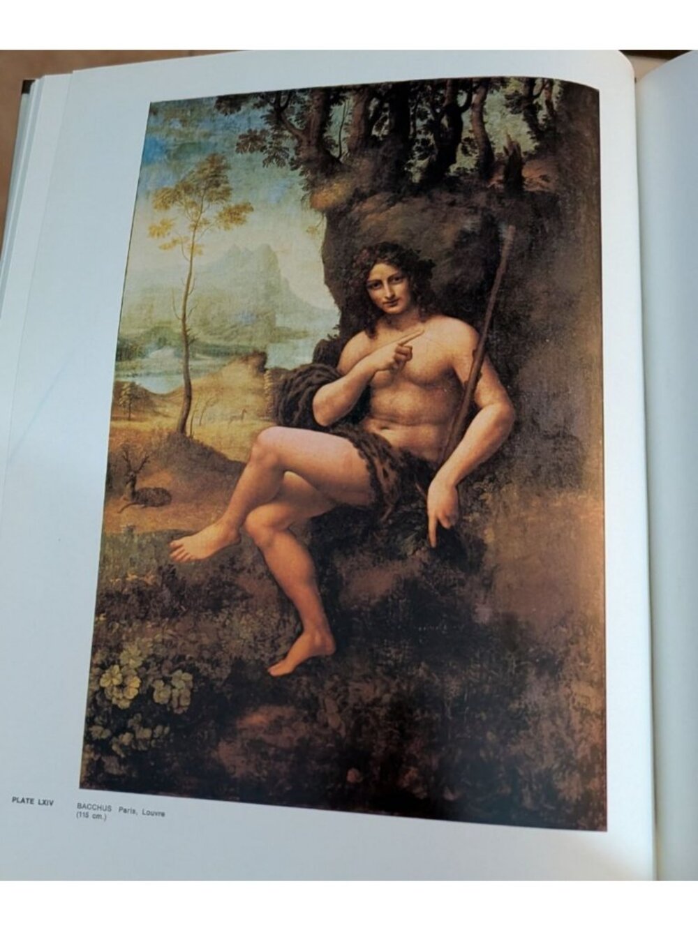 The Complete Paintings Of Leonardo Da Vinci Hardcover 1967 by Harry N. Abrams - Picture 7 of 13